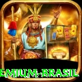 886v Premium Brasil