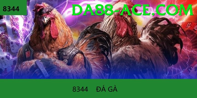 Đá Gà Trực Tiếp - Trải nghiệm tuyệt vời - Arena