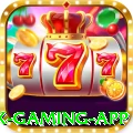 roda7 Max Gaming App